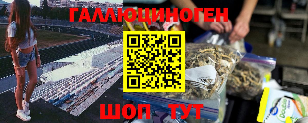 дарнет шоп  Псилоцибиновые грибы мицелий  Вход с VPN  Минеральные Воды  Псилоцибиновые грибы GOLDEN TEACHER 