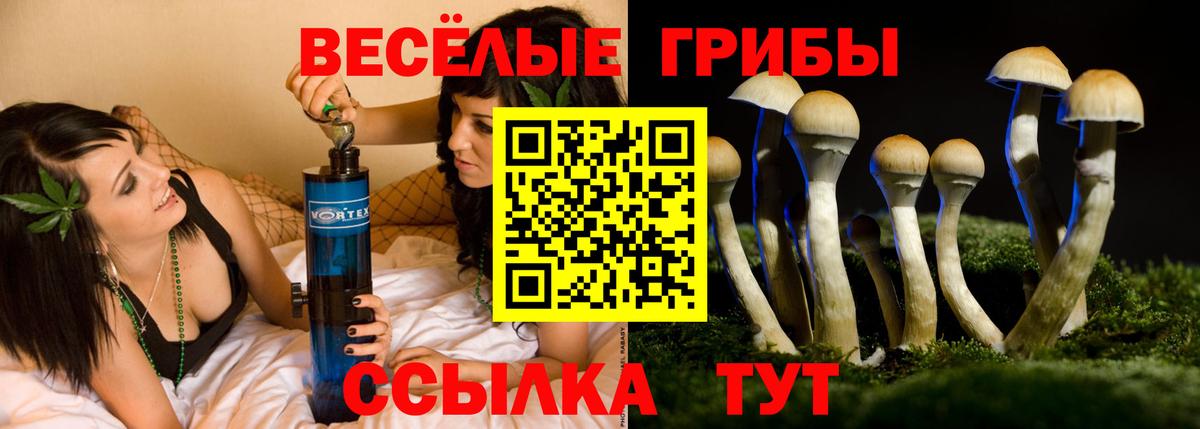 Псилоцибиновые грибы ЛСД Минеральные Воды